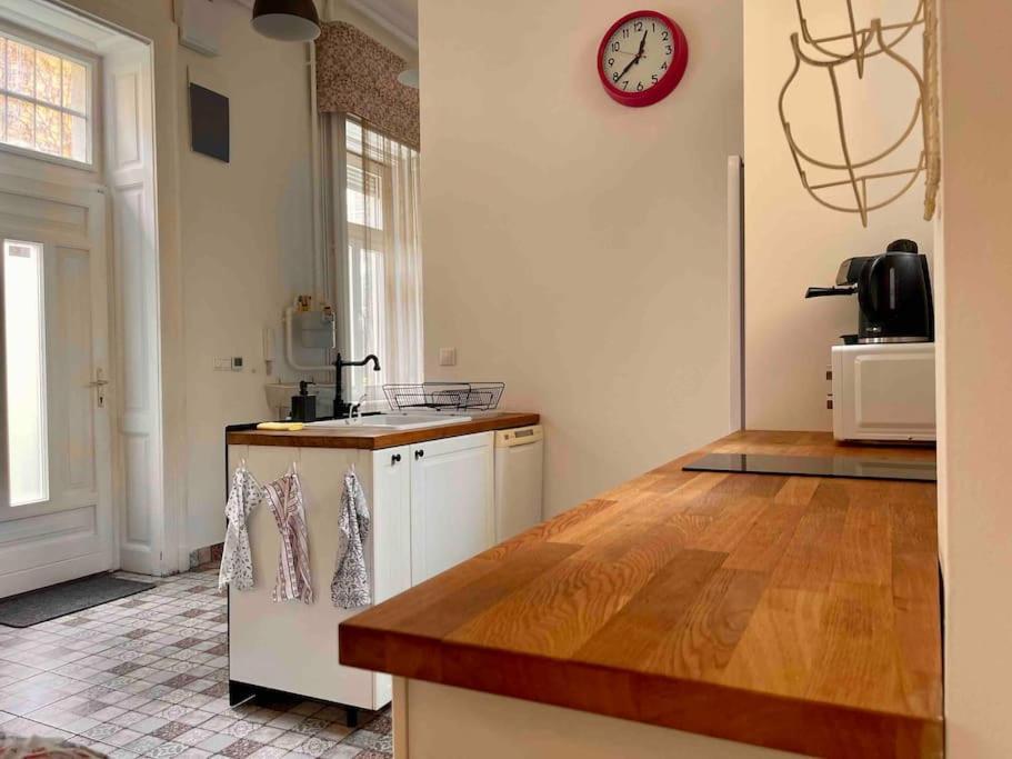 Knezits Spacious Ac Terrace Free Parking 부다페스트 외부 사진