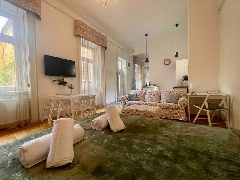 Knezits Spacious Ac Terrace Free Parking 부다페스트 외부 사진