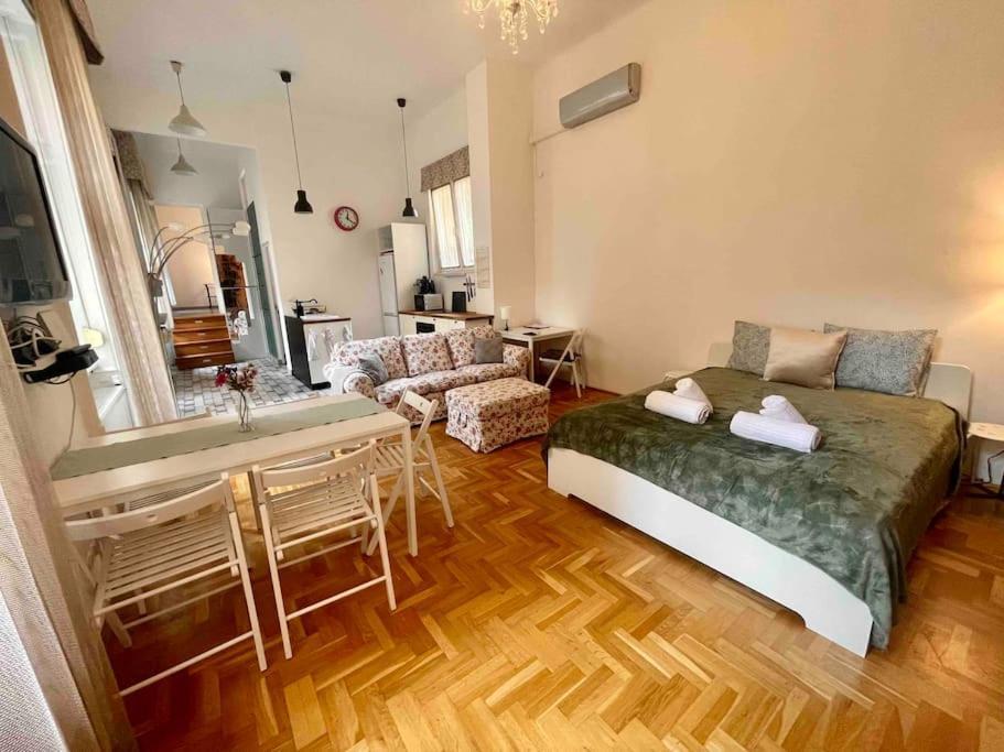 Knezits Spacious Ac Terrace Free Parking 부다페스트 외부 사진