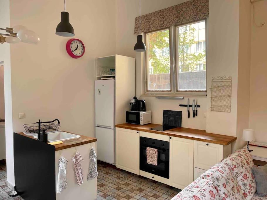 Knezits Spacious Ac Terrace Free Parking 부다페스트 외부 사진